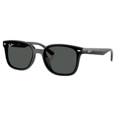 Ray-Ban 雷朋 膠框太陽眼鏡 RB4461D-601/87