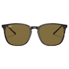 Ray-Ban 雷朋 膠框太陽眼鏡 拋光 RB4387F-902/73