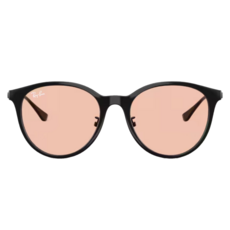 Ray-Ban 雷朋 膠框太陽眼鏡 拋光 RB4334D-601/5