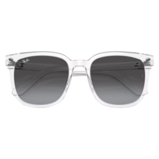 Ray-Ban 雷朋 膠框太陽眼鏡 拋光 漸層鏡片 RB4401D-64478G