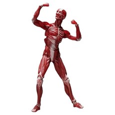 GOOD SMILE COMPANY FREEing figma SP-142 人體模型 公仔, 1個