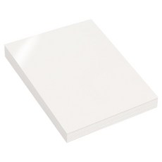 리코즈 깔끔보관 이지오프 스티커 이형지 A5, 1개, 30매