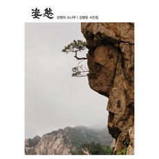 姿態 ： 江原的松樹, 金明雲, 寫真藝術社