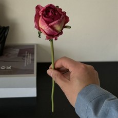 微笑人造花束, 安哥拉玫瑰 深粉色, 3個