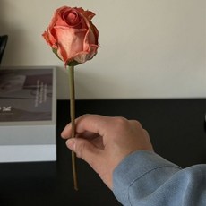 미소로운 조화 꽃다발, 앙고라장미 오렌지, 3개