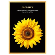 움짤 풍수 그림액자 해바라기 + 핑크 데이지, 유광 골드