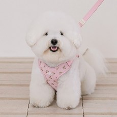 리카리카 반려동물 곰돌이 베베 하네스, 핑크, 1개