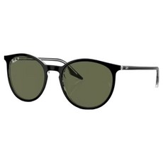 Ray-Ban 雷朋 膠框太陽眼鏡 偏光鏡片 RB2204F-919/58