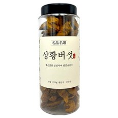 온담 국산 상황버섯, 1개, 100g