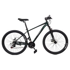 닥터바이크 FP-27 MTB 알루미늄 디스크 브레이크 14kg 방문설치, 딥그린, 1개, 180cm