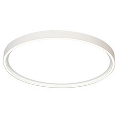 DANCELIGHT 舞光 LED 雪晴吸頂燈 45W, 自然光