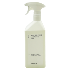 Saengong 生活工作所 噴式除霉劑 蘋果香, 750ml, 1個