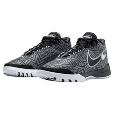 NIKE 耐吉 男款 LBJ NXXT GENISUS EP 籃球鞋 HF0711-004