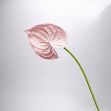 Floral M 黛安娜心型火鶴仿真花花材, 2個, 少女粉