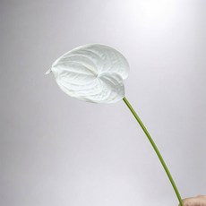 Floral M 黛安娜心型火鶴仿真花花材, 2個, 優雅白