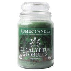 LUMIE CANDLE 蠟燭, 1個, 尤加利, 570g