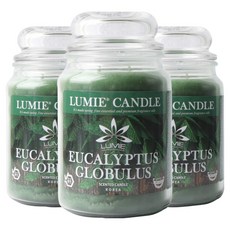 LUMIE CANDLE 蠟燭, 3個, 尤加利, 570g