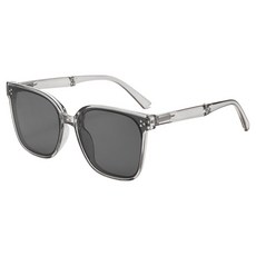 NEXPICK 可折疊偏光太陽眼鏡 + 緩衝眼鏡盒組, 1套, 灰色