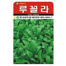 아람종묘 루꼴라 씨앗 2000립, 1개 1개
