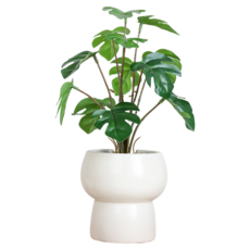 Him Room 室內裝飾效果花瓶 款式38, 混色