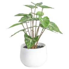 Him Room 室內裝飾效果花瓶 款式50, 混合顏色