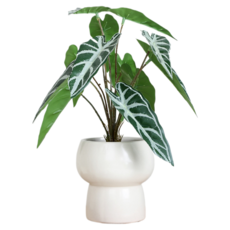 힘룸 家居裝飾效果花瓶 款式37, 混合顏色