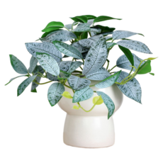 Him Room 裝飾效果花瓶 款式40, 混合色