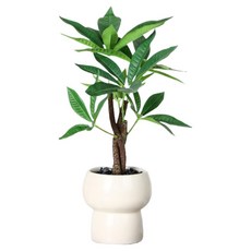 힘룸 인테리어효과 화병 스타일34, 혼합색상