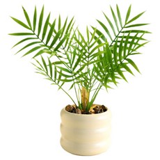 Him Room 具室內裝飾效果花瓶 款式31, 混合色