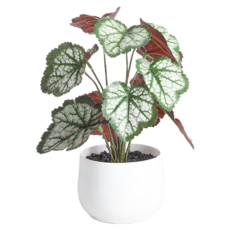 Him Room 室內裝飾效果花瓶 款式49, 混合色