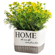 Him Room室內裝飾效果花瓶 款式16, 混合色