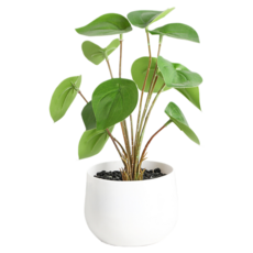 Him Room 室內裝飾效果花瓶 款式48, 混合顏色