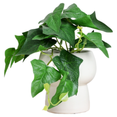 Him Room 室內裝飾效果花瓶 Style 36, 混色