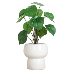 Him Room 室內裝飾效果花瓶 款式41, 混合顏色