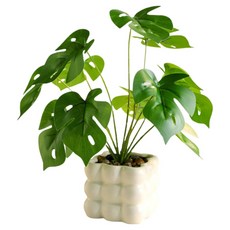 Him Room 室內裝飾效果花瓶 Style 25, 混色