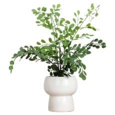 Heem Room 室內裝飾效果花瓶 款式43, 混合色