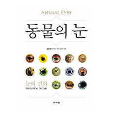 動物之眼, Nara-won, 金道賢