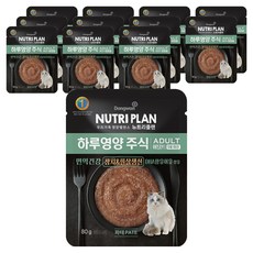 동원뉴트리플랜 어덜트 고양이 하루영양 주식파우치 흰살생선, 80g, 12개