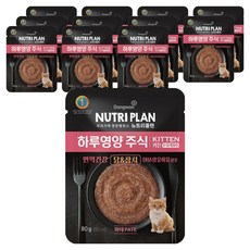 동원뉴트리플랜 키튼 고양이 하루영양 주식파우치, 80g, 12개, 닭+참치
