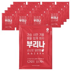 부리나 포켓형 손난로 일반형 90g, 20개