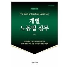 個別勞動法實務, 中央經濟, 崔英宇