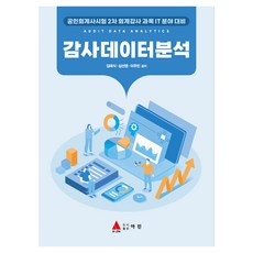 감사데이터분석:공인회계사시험 2차 회꼐감사 과목 IT분야 대비, 아진