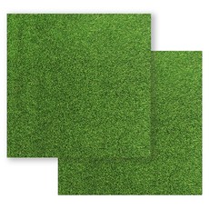 언더보스 테라리움 잔디 매트 15 x 15 cm, 2개