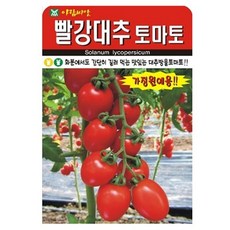 아람종묘 빨강대추 토마토 씨앗 30p, 1개
