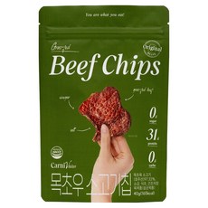 카니비비안 목초우 비프칩 오리지널, 40g, 1개