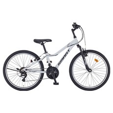 스마트 스펙트럼 24 21 MTB 자전거 방문설치, 라이트그레이, 1개, 160cm