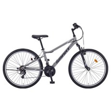 스마트 스펙트럼 26 21 MTB 자전거 방문설치, 매트티탄실버, 1개, 170cm