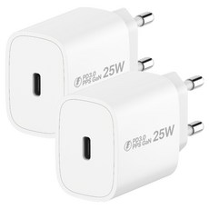 아이히트코리아 PPS PD 3.0 GaN 25W C타입 초고속 충전기, 화이트, 2개