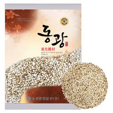 동광한방몰 홍화자 홍화씨, 600g, 1개