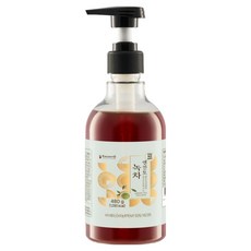 ENCANTO 綠茶濃縮液, 1個, 480g